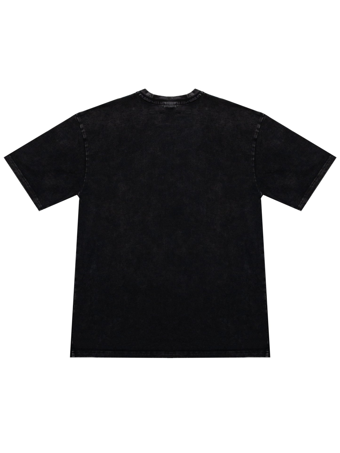 DRAGON (龍) Power Tee V1